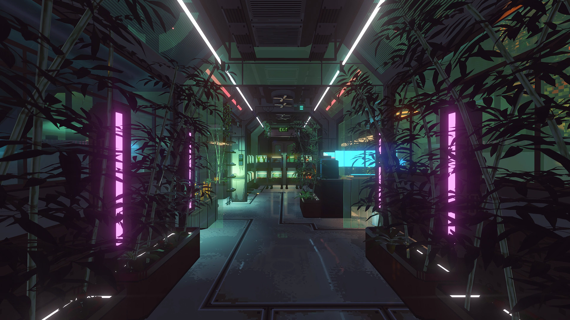 Nivalis Nights